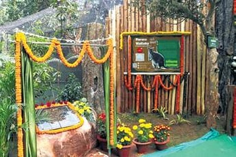The wallaby enclosure inaugurated on Friday at Nandankanan zoo | Express