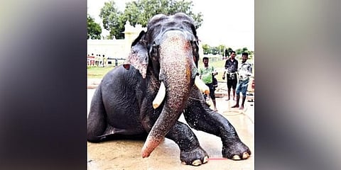 Arjuna