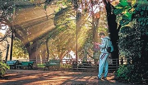 Lens on Bengaluru