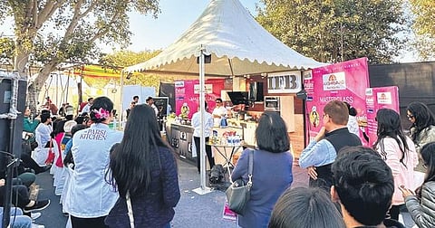Images from the Palate Fest 2023