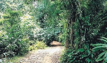 What’s in a name: Palode, nestled by Western Ghats, treasures many tales