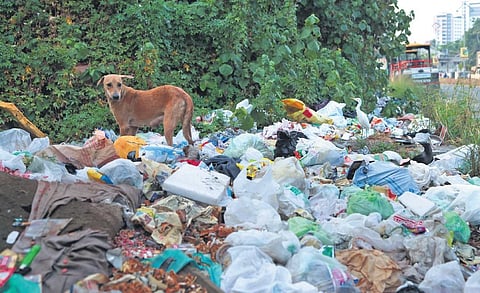With fire in Brahmapuram plant, waste management in the city has gone haywire. A scene near Jawaharlal Nehru International Stadium in Kochi | Nishad T Ummer