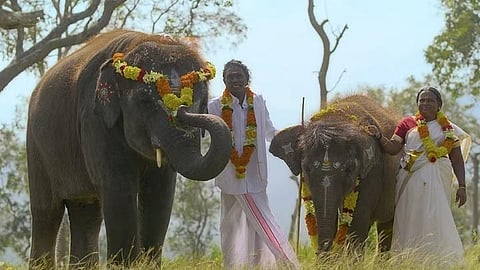 Elephant whisperers Bomman and Bellie. (Photo | Netflix)