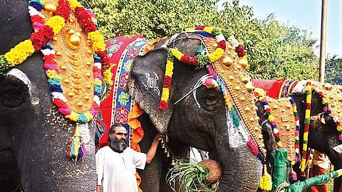 Srirangam temple elephants used for representational purposes only. | File Photo