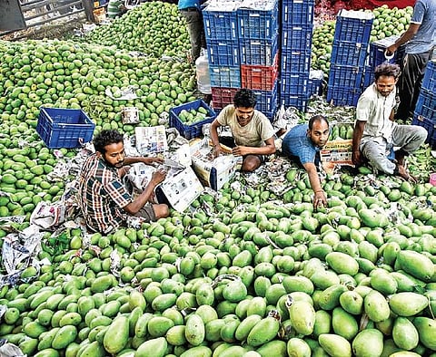 Image used for representational purpose only. (File photo | Vinay Madapu, EPS)