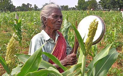 Image for representational purpose. (Photo | Express)