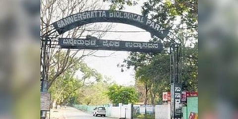 Bannerghatta Biological Park (BBP)