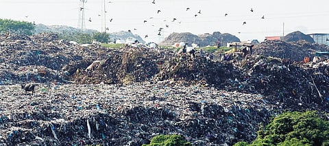 A huge quarry pit that spreads across Bellahalli, Kannur and Mitganahalli is being used to dump garbage.