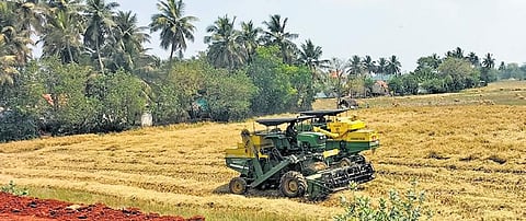Average yield pegged at 6,062 kg per hectare | M K Ashok Kumar