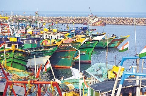 A view of Kasimedu harbour in Chennai on Saturday | P Ravikumar