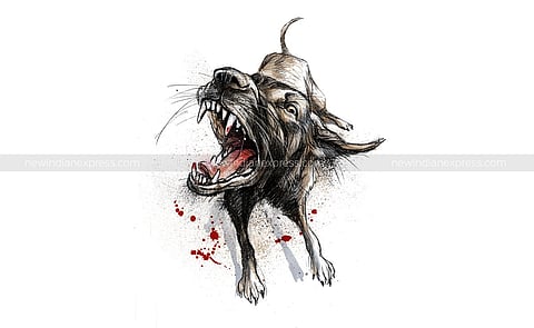 Image for representational purpose. (Express Illustration)