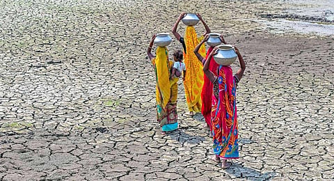 Women carry pots filled with drinking water on their heads through a dry pond in a drought-like situation due to the heatwave.