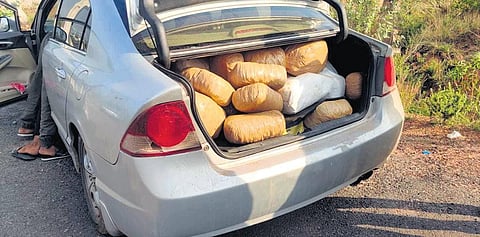 Enforcement Bureau seized 81kg of ganja worth `48.6 lakh and arrested one person near Arambakkam on Friday. (Photo | Express)