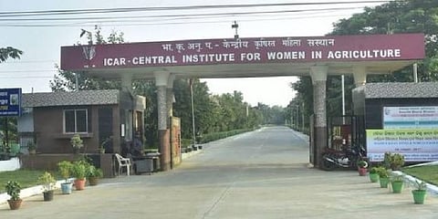 Central Institute for Women in Agriculture (CIWA), Bhubaneswar (Photo | Twitter)