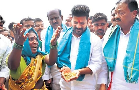 TPCC chief A Revanth Reddy checks the paddy that was damaged in rains in Pondurthy village of Kamareddy district on Wednesday.