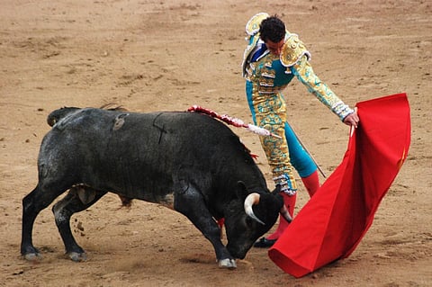 For representational purposes. (Photo | Wikimedia Commons)