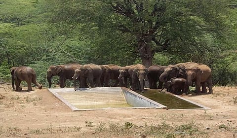 Dharmapuri Forest zone is one of the largest areas in the state encompassing an area of 1,64,901 hectares.