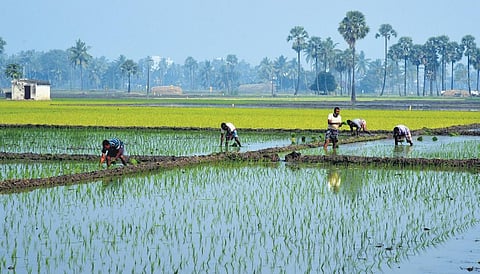 Image used for representational purposes
