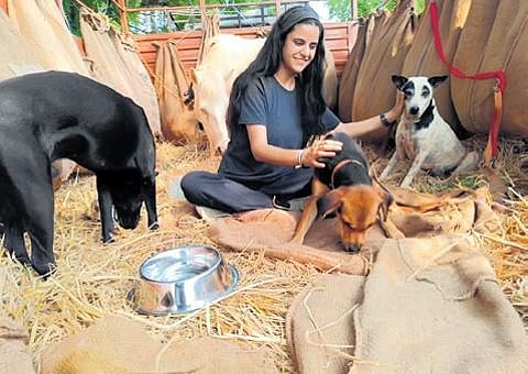 Police and PETA personnel rescued the animals from the circus stationed at Iruppu in Neyveli | Express