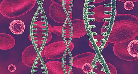 Hereditary angioedema: A family affair