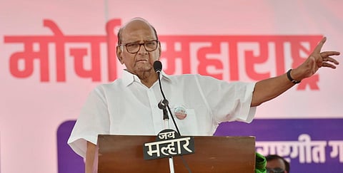 NCP patriarch and former Union Minister Sharad Pawar. (File Photo | PTI)