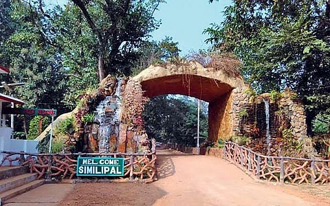 File photo of the entrance gate of Similipal Tiger Reserve. (Photo | Express)