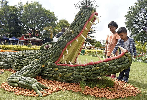 Image of the 12th annual vegetables show organised by the Horticulture department in the Nilgiris district used for representational purposes only