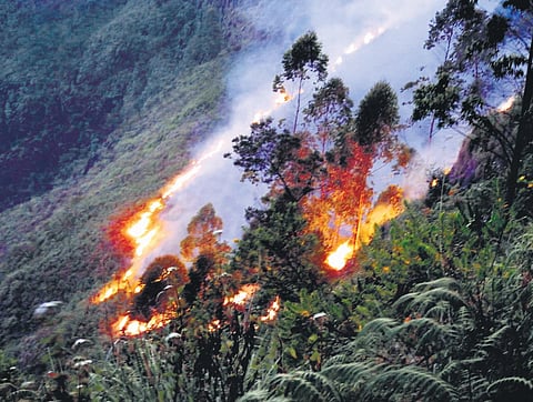 A forest fire image used for representational purpose only. (Photo| express)