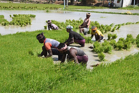 Image used for representational purpose (Photo | PTI)