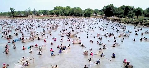 A large number of people entered the reservoir with nets to catch fish. (Photo | Express)