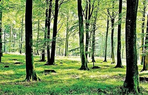 Telangana's green initiatives best in the country: Report