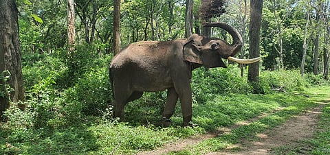 Image used for representational purposes