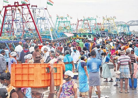 Nagapattinam fishing harbour buzzing with activity on Sunday | Express