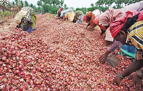 Image used for representation.(Photo | Express)