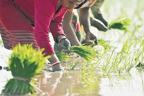 Image used for representational purposes only. (File Photo | ANI)