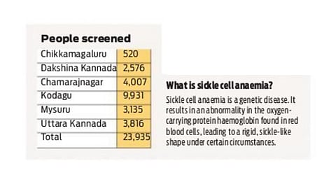 Karnataka to screen 3 lakh tribals for sickle cell anaemia
