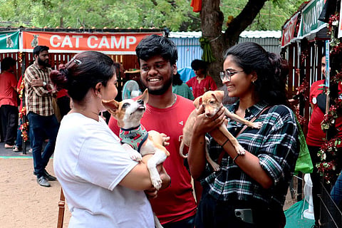 The adoption coordinators conduct pet shows or events in cities and showcase the rescued dogs to people planning to become pet parents.