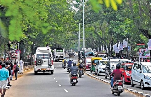 The Corporation office road is dotted with trees on both side, giving it a majestic look | (pics) B P DEEPU