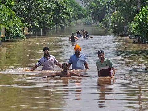 A flooded locality in Patiala, Punjab. (PTI Photo)