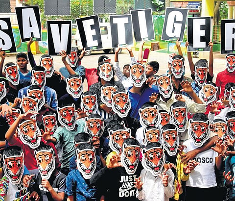 Underprivileged children from Bosco Mane wear tiger face masks to celebrate International Tiger Day at Chamarajpet in Bengaluru, on Saturday | Shashidhar Byrappa