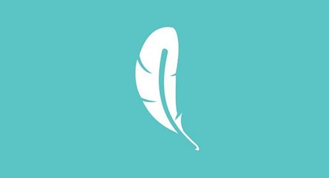 Logo of SafetyWing. (Photo | Twitter, SafetyWing )
