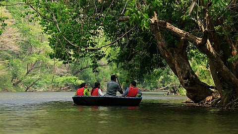For representational purposes (Photo | Kerala Tourism website)
