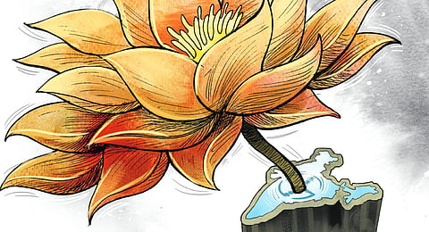 Image used for illustrative purposes only. (Express illustrations)