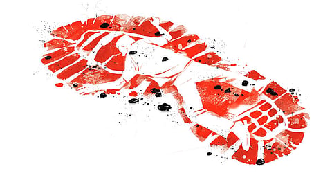 Express Illustrations