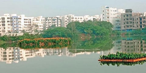 Neknampur lake in Hyderabad. (Photo | Express)