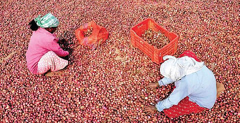 Representational Image. (File Photo| PTI)
