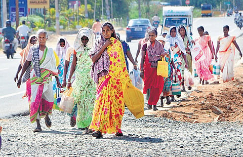 Workers employed under Mahatma Gandhi National Rural Employment Guarantee Scheme return home after work in Tirunelveli | V karthikalagu