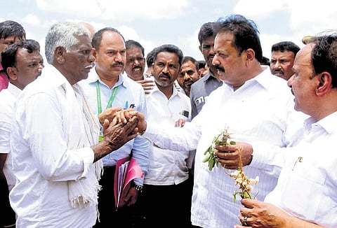 Agriculture Minister Cheluvarayaswamy interacts with a farmer in Chitradurga on Tuesday. The minister visited fields with dried crops | Express