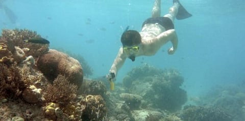 After years of climate-worsened damage to its vibrant corals, Australia's vast Great Barrier Reef could be added to UNESCO's list of endangered World Heritage sites. July, 2021. (File photo | AFP)