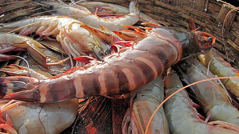 Image used for representational purposes only (Photo | Wikimedia Commons)